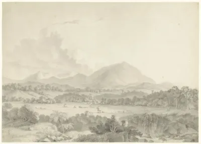 Javaans landschap