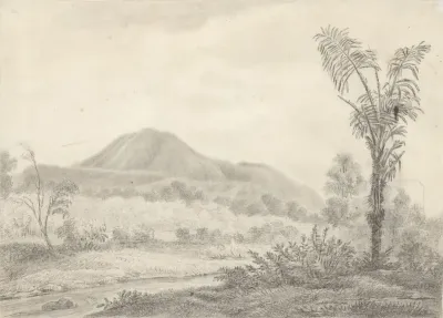 Javaans landschap met berg en palm