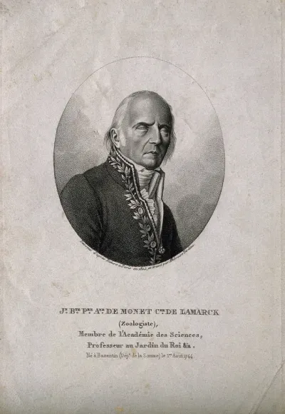 Jean Baptiste Pierre Antoine de Monet Lamarck