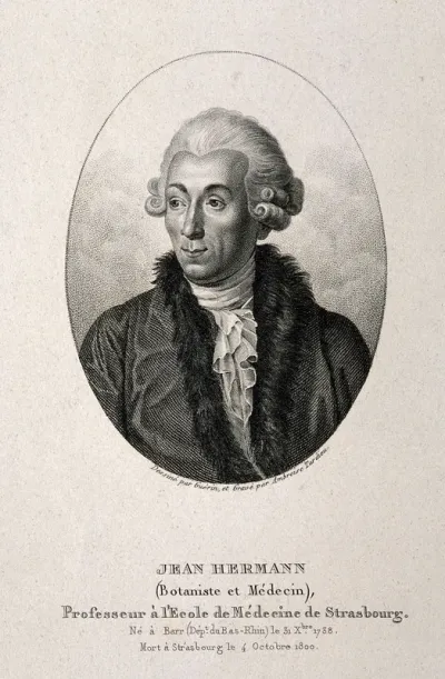 Jean Hermann. Stipple engraving by A. Tardieu after C. Guérin