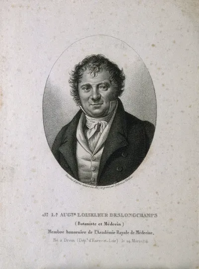 Jean Louis Auguste Loiseleur Deslongchamps