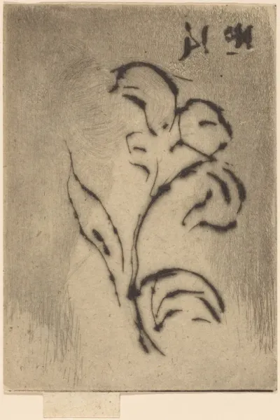 Jeanette, June 1887 / Flower