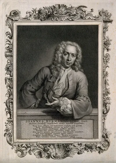 Joannes Burmann
