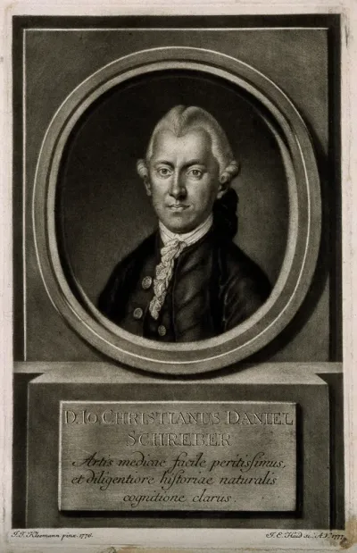 Johann Christian Daniel von Schreber