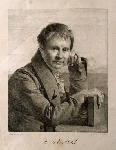 Johann Ehrenfried Pohl