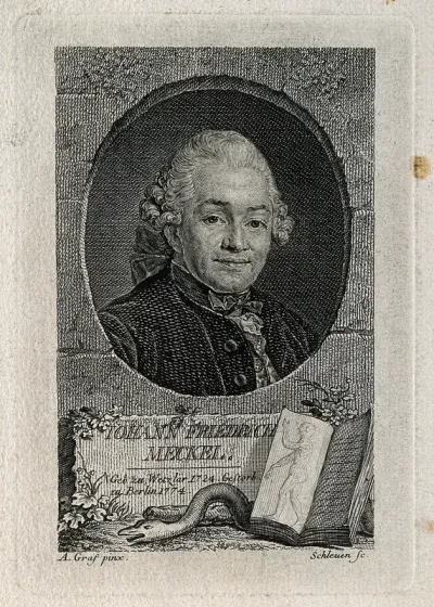 Johann Friedrich Meckel the elder