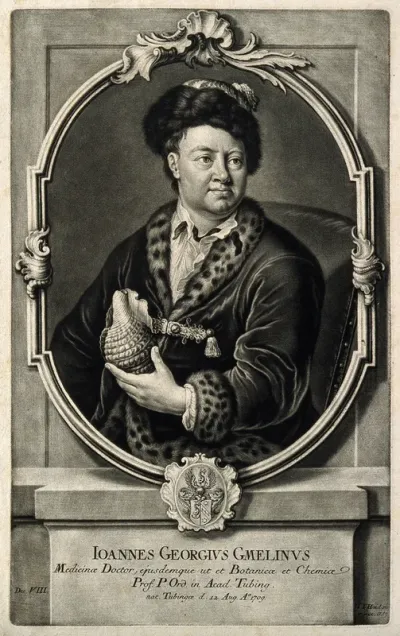 Johann Georg Gmelin