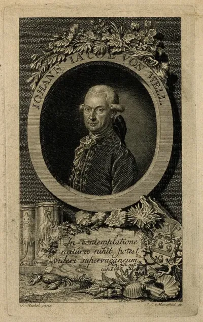 Johann Jacob von Well