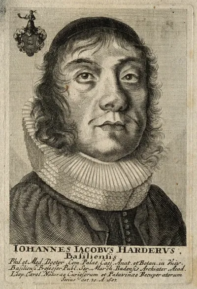 Johann Jakob Harder