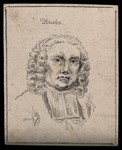 Johann Reinhold Förster, naturalist and clergyman: portrait