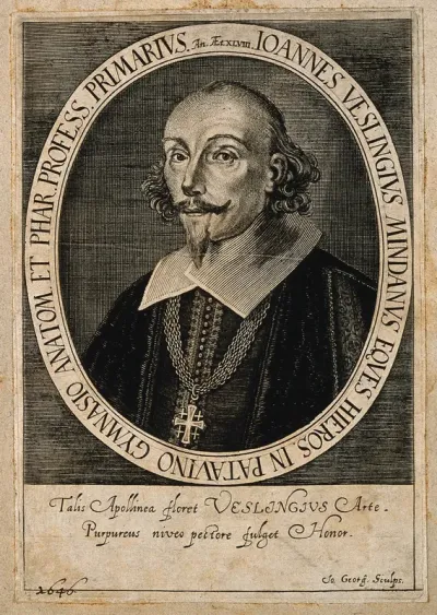 Johann Vesling. Line engraving by J. Georgi, 1647