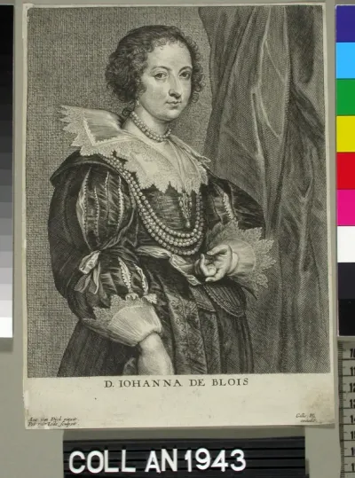 Johanne de Blois, puolivartalokuva