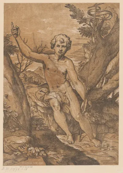 Johannes de Doper in de wildernis