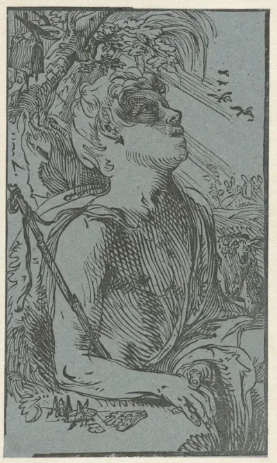 Johannes de Doper in de wildernis
