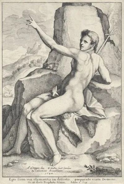 Johannes de Doper in de woestijn