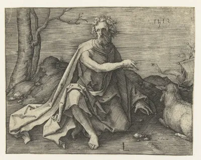Johannes de Doper in de woestijn
