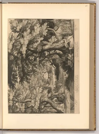 Johannes der Täufer in der Einöde