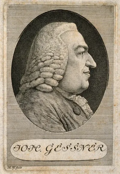 Johannes Gessner