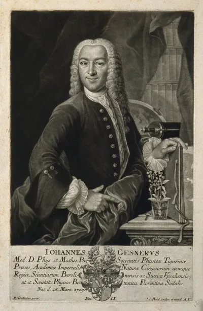 Johannes Gessner