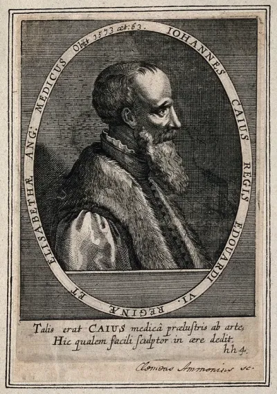 John Caius. Line engraving by K. Ammon, 1650