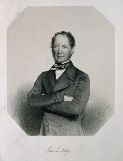 John Lindley. Lithograph by T. H. Maguire, 1849