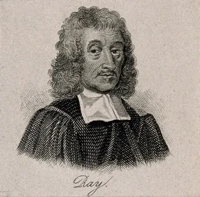 John Ray. Line engraving after Mary Beale