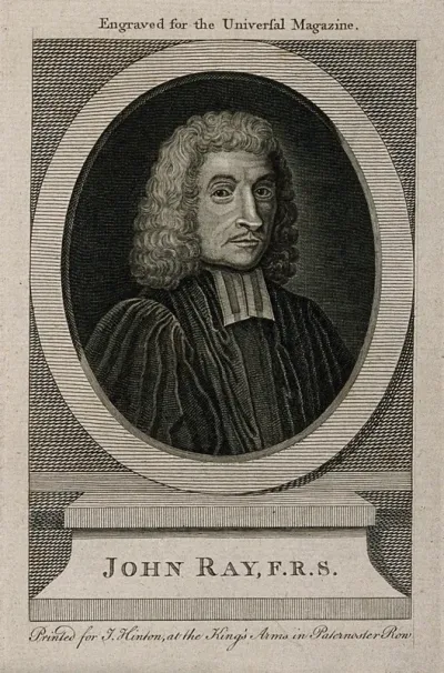 John Ray. Line engraving after W. Faithorne