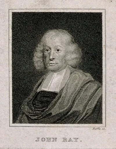 John Ray. Stipple engraving by J. Roffe, 1820, after Mary Beale