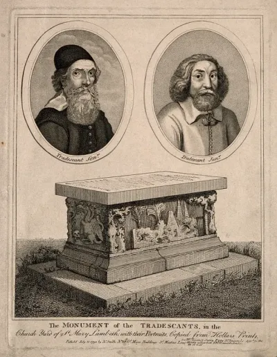 John Tradescant I and John Tradescant II