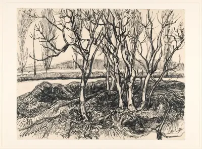 Jonge bomen