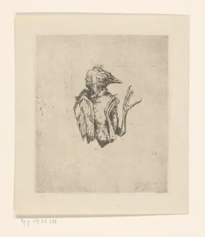 Jonge dode vogel