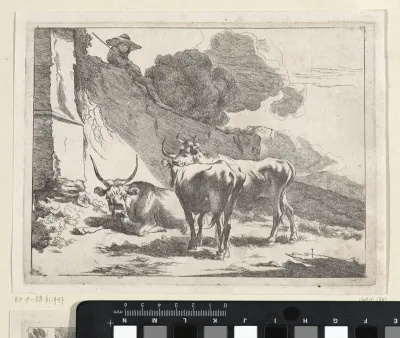 Jonge herder op een muur