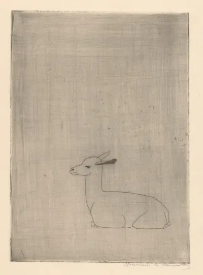 Jonge lama