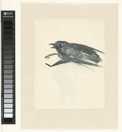 Jonge vogel