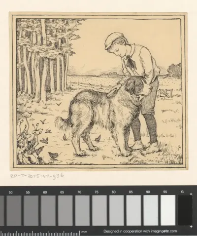 Jongen borstelt een hond