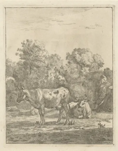 Jongen en twee koeien