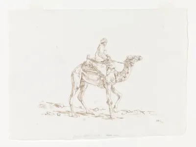 Jongen op kameel