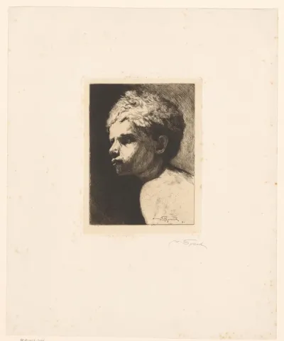 Jongensbuste