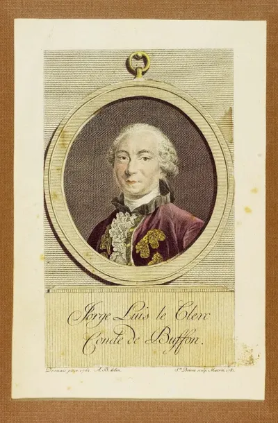 Jorge Luis le Clerc, Conde de Buffon [Material gráfico]