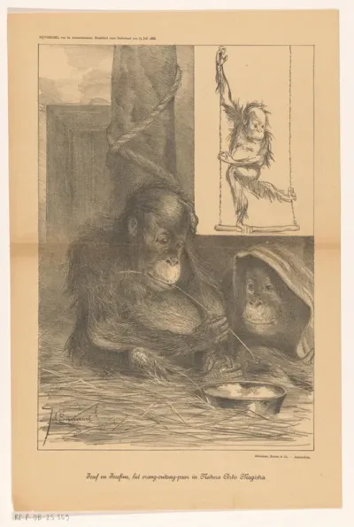 Josef en Josefine, het orang-outang-paar in Natura Artis Magistra