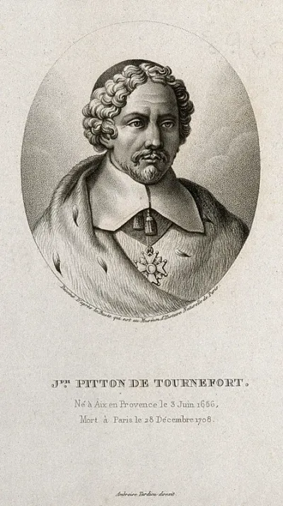 Joseph Pitton de Tournefort