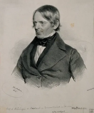 Joseph Wattman, Freiherr von Maelcamp-Beaulieu