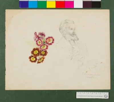 Junger Mann mit  Vollbart (Selbstbildniß?), Farbstudie zu Blüten