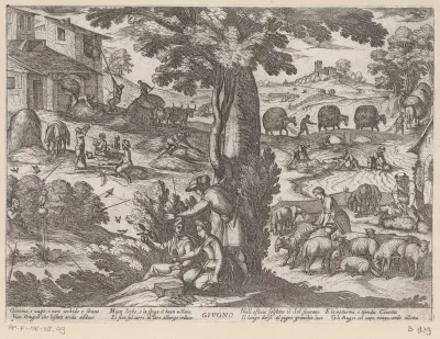 Juni: schapen scheren (kreeft)