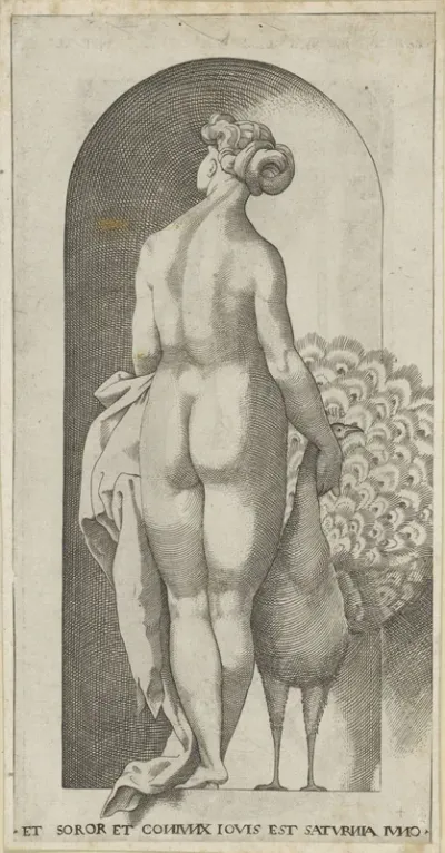 Juno