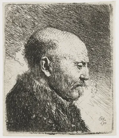 Kaalhoofdige oude man: profiel naar rechts; de vader van Rembrandt (?)