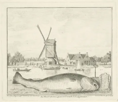 Kabeljauw gevangen in 't Spaarne