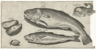Kabeljauw, wijting, een dolfijn en schelpen