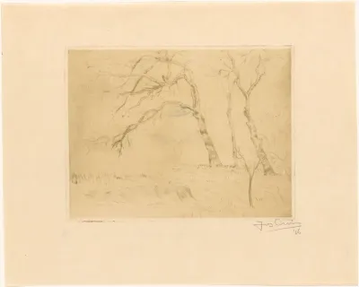 Kale bomen in het gras