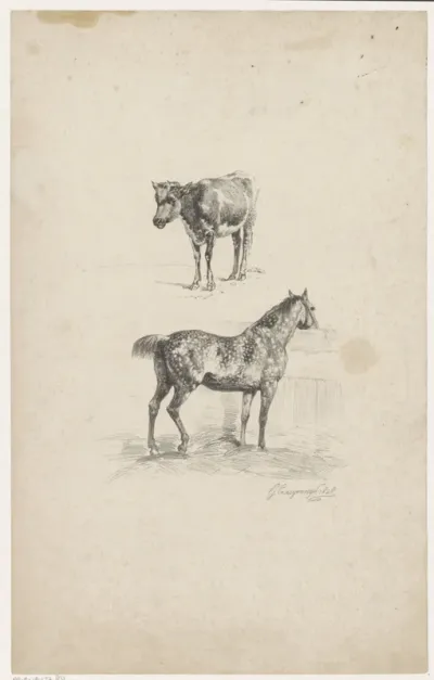Kalf en paard in stal